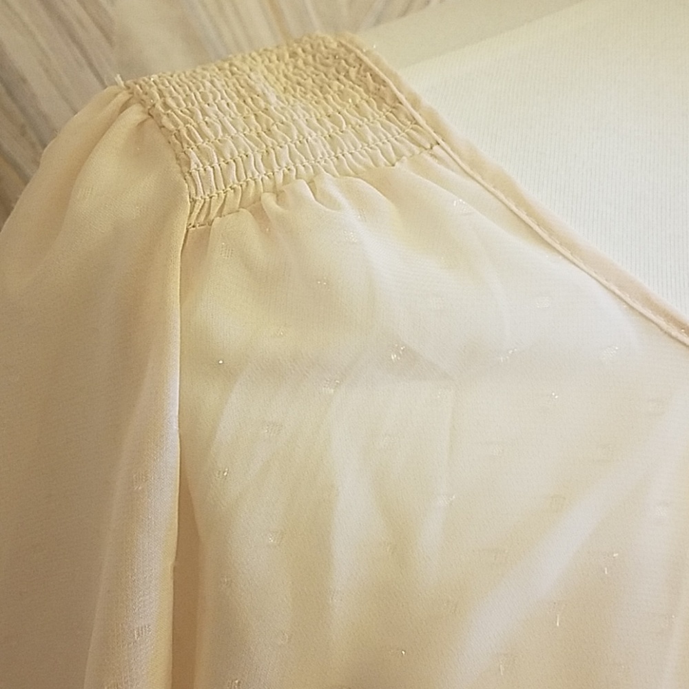 The Limited Sheer Pink Shimmer Top - Picture 3 of 3